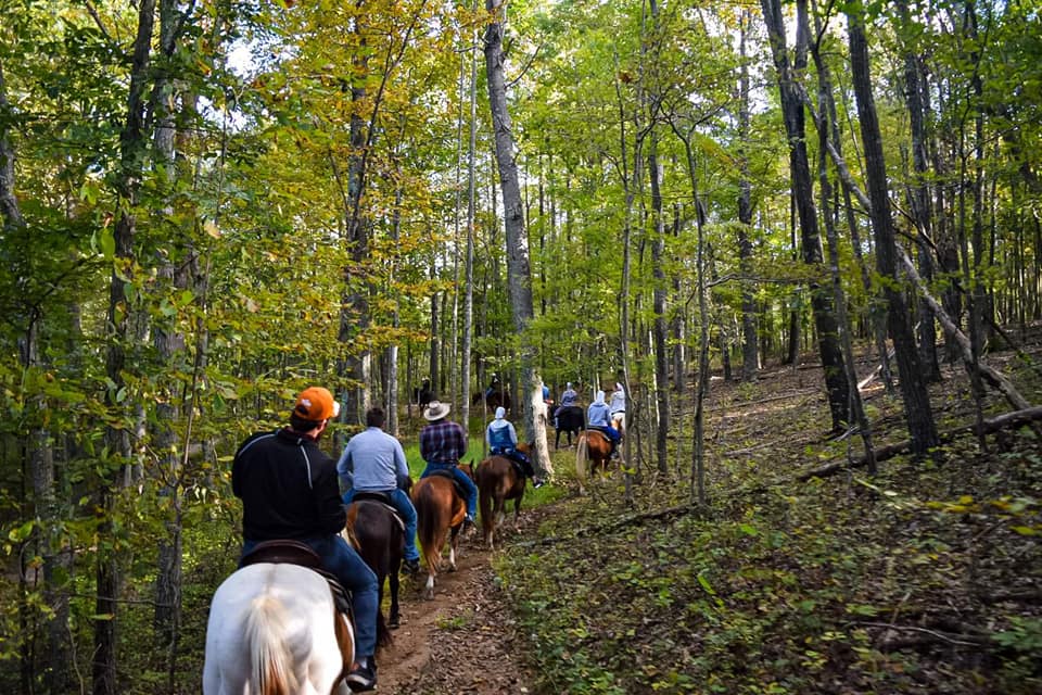 Horseback Rides and Horseback Riding Trails